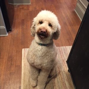 Meet your Posher, Melanie